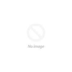 Distributed multi-tasking portal